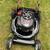 Craftsman EZ Walk 22" Self Propel Mower 1 thumbnail