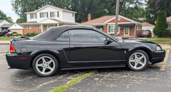 1999 Mustang Cobra Convertible - $13,500 (Saint Clair Shores)63488136992641124