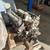 5.0 / 302 Ford V8 1 thumbnail