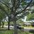 Carlos Tree service 5 thumbnail
