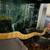 Snake 2 thumbnail