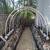 Arbors, Arches and Trellis 2 thumbnail