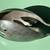 Raimond Silverplated Serving Tongs, Vintage 5 thumbnail
