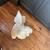 chicken decoritive porcelain pieces 6 thumbnail