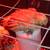 D’uccle Chicks 3 thumbnail