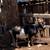 Nigerian Dwarf Goats (Does) 1 thumbnail