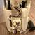 Subaru Fuel Pump 4 thumbnail