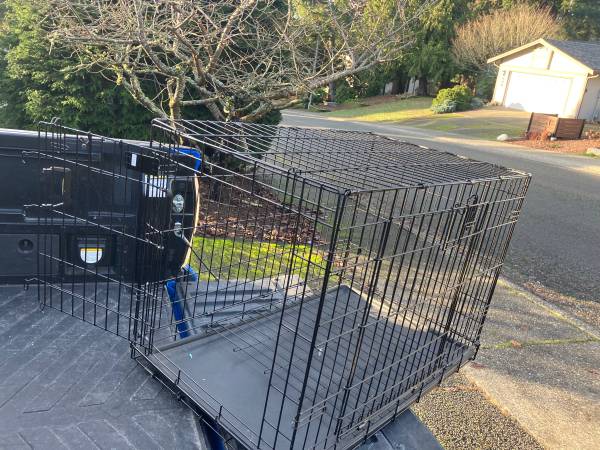 Large Medium Dog Kennel Crate Collapsible in Good Condition 36” L by W 1