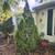 3 bed 1bath house 120,000 2 thumbnail