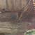 Art H. Wanning Artist Oil on Canvas 30" by 24" 21 thumbnail