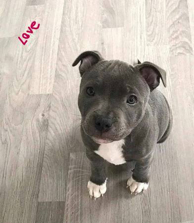 Energetic & Bold Style (Chillicothe)64669320635394120