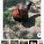 Hatching Eggs 6 thumbnail