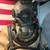 Local Buyer looking for WW2 knives uniforms and US made knives 3 thumbnail