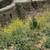 Breathtaking View in Malibu Area 18 thumbnail