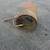 Road Roller Drum 1 thumbnail