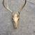 Deer Skull with Antlers 1 thumbnail