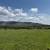 San Felipe - 150 Hectares of Productive Pasture and Seasonal Land 24 thumbnail