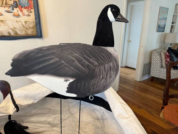 Goose Decoys - White Rock 1