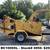 Vermeer Chippers - All Sizes 14 thumbnail