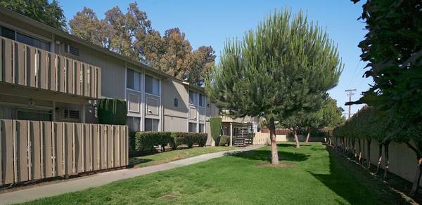 $2,695 / 2br - 820ft2 - Playground, Oak Cabinetry, Walk-in Closets (san jose south)63686085767555120