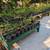 Fast-Growing Native Privacy Hedges - Carolina Cherry Laurel (1, 2, & 3 3 thumbnail