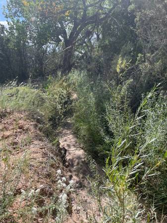 $150,000 Prime Farmland In The Heart Of Chimayo, New Mexico! (Chimayo)63806019749507123