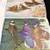 A Natural History of American Birds of Eastern & Central North America 4 thumbnail
