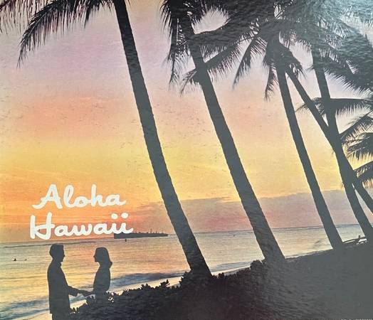 ISO Hula dancer or dancer who can learn first gig not paid63812569181057120