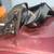 Parting Out 1997 Toyota Corolla 23 thumbnail