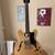 Epiphone Dot 1 thumbnail