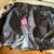 BRAND NEW THE NORTH FACE BASE CAMP  XXL 150L DUFFEL CAMPING LUGGAGE 8 thumbnail