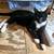 Amazing cats looking for their loving new homes!!! 5 thumbnail