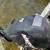 2007 Manitou pontoon 75HP  EFI motor 9 thumbnail
