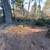 Log/Tree removal 1 thumbnail