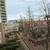Large 1081 sqft. 2 Bed + 1.5 Bath unit in the heart of False Creek! 14 thumbnail