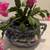Blue & White Chinoiserie Porcelain Planter / Cachepot (Bombay Co.) 1 thumbnail