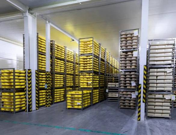 Cold Storage Project 1