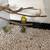 * SPECIAL OFFER * ONLY FOUR PARAKEETS LEFT 1 thumbnail
