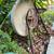 antique rustic old Sharpening Stone with Seat yard art 3 thumbnail