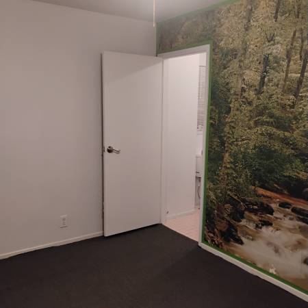 $1,100 entrada privada a habitación - mes a mes (foster city)63813639714689122