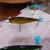 Five (5) New Floating Fishing Lures L-#46 4 thumbnail