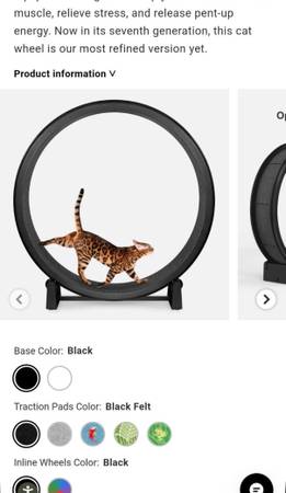 Cat wheel 1