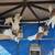 LOFT REDUCTION - Homers, Rollers, Frills, Fantails Pigeons & MORE 12 thumbnail