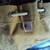 Carpenters Parachute Screw / Nail Bag 2 thumbnail