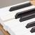 Like new STEINWAY & SONS Model M, Premium Art Edition 5'7" Grand Piano 9 thumbnail