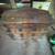 Antique Camelback Trunk 4 thumbnail