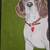 Catherine McClay Squaw Pony Art - Beagle Painting 2 thumbnail