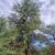 Von's Quality Landscaping - Curb Appeal 15 thumbnail