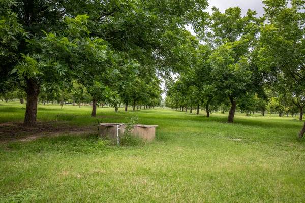 $1,200,000 / 4br - 2500ft2 - 45 acres pecan trees with 4Br/3 bath ranch home (Falfurrias, Tx)64036534647170123