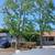 NEW🇺🇸🇺🇸! 15%discount available -Tree service and gardening 23 thumbnail